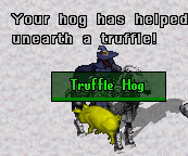 hog3