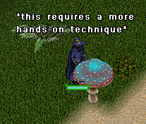 ct2