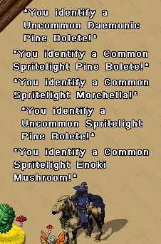 identify