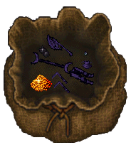 bag